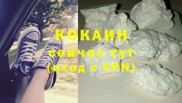 стафф Аркадак